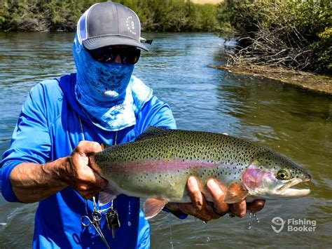 fish in montana